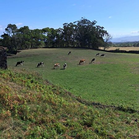Quinta Do Norte Capelas Bagian luar foto