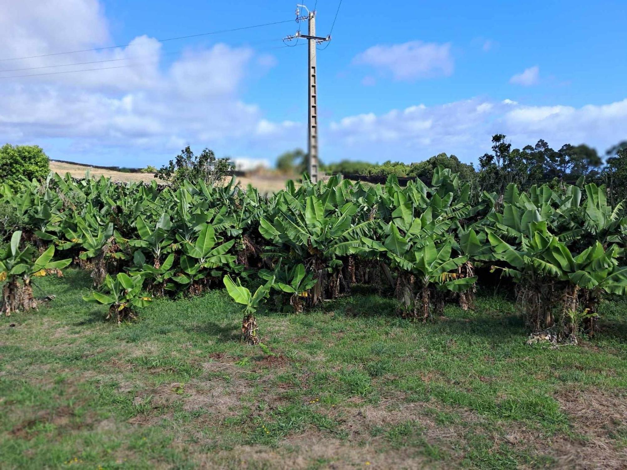 Quinta Do Norte Capelas Bagian luar foto