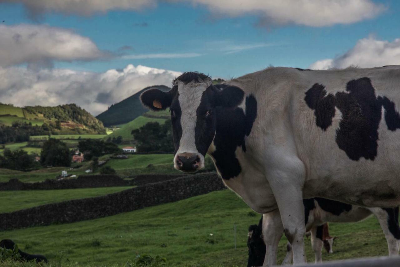 Quinta Do Norte Capelas Bagian luar foto